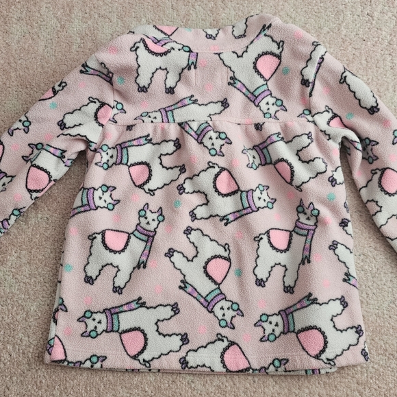 Beautiful jacket by Children's Place. - Picture 3 of 3